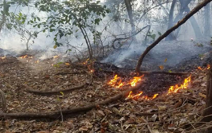 Imágenes de satélite detectan 11 puntos de calor en el país