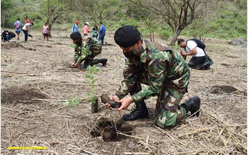  Ejército participó en el lanzamiento de la Campaña de Reforestación “Verde, que te quiero verde”