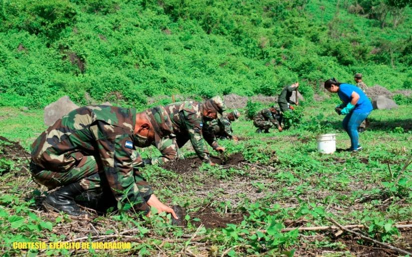 Brigadas del Ejército participan en jornada de reforestación ambiental en la laguna de Nejapa
