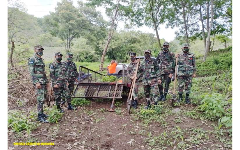 Quinto Comando Militar participa en jornada de reforestación