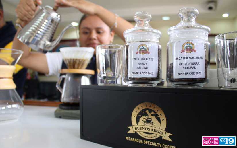 En Dipilto se encuentra el café “Taza de la Excelencia Nicaragua 2023”