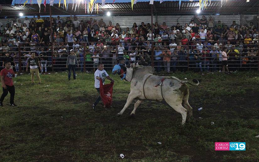 Fiestas taurinas de Tiscapa son pura adrenalina y recreación para las familias