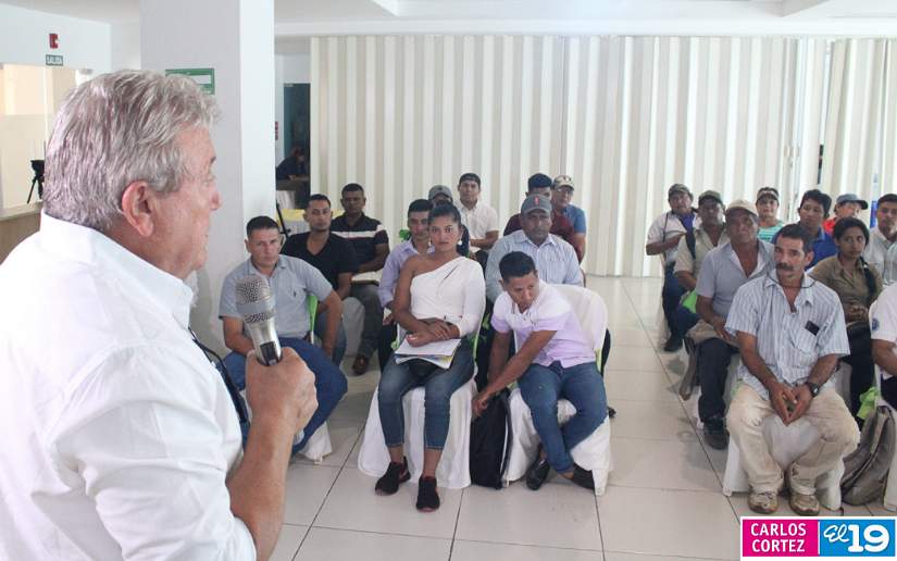 Productores nicaragüenses son capacitados en temas de mejora genética