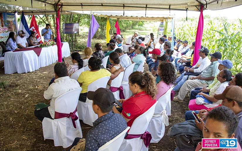 Inta presenta a productores semillas mejoradas para la siembra de postrera