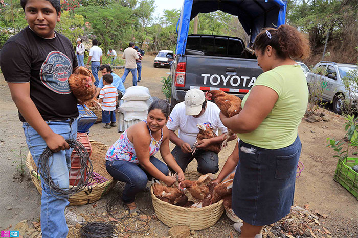Familias reciben Bono Productivo Alimentario en San Isidro de Bolas