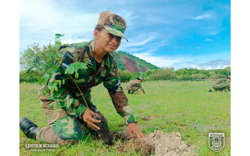 Ejército de Nicaragua participa en jornada de reforestación ambiental en Mateare