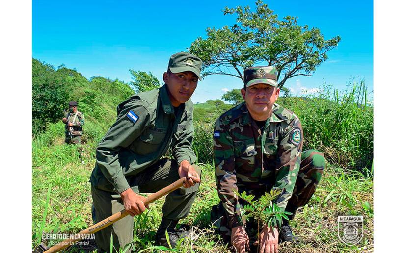 Ejército en la entrega de reconocimiento de participación de la campaña de reforestación