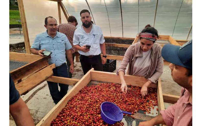 Caficultura: Realizan Curso Internacional Q Processing. 2 en Jinotega