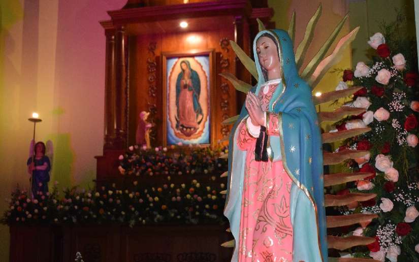 Celebramos, honramos y alabamos a la Morenita del Tepeyac, nuestra Virgen de Guadalupe