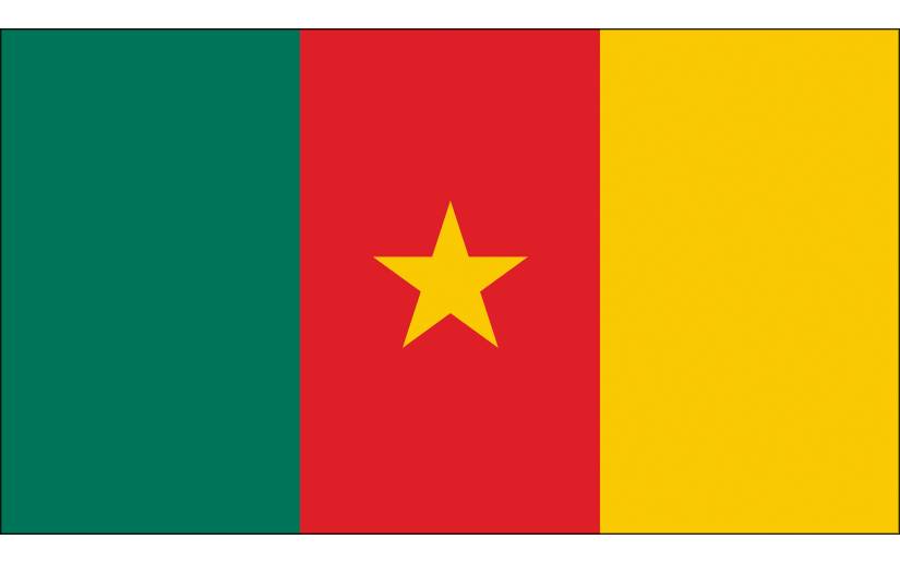 Mensaje al Presidente y al Primer Ministro de Camerún en el 64º