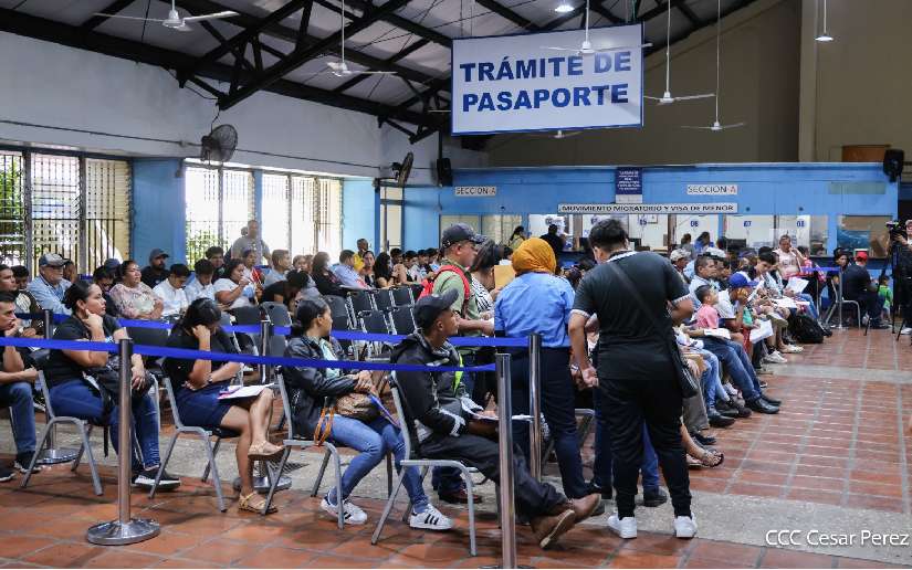 Conozca el paso a paso para solicitar el certificado de movimiento ...