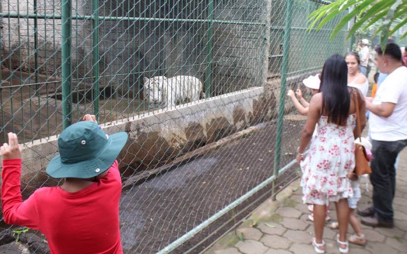 Marena ejecuta mejoras en la infraestructura del Zoológico Nacional