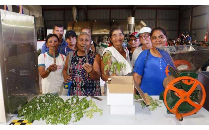 Lanzamiento del “Desarrollo de Moringa Comandante Fidel”