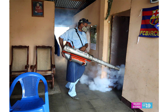Continúa incansable batalla para prevenir el chikungunya