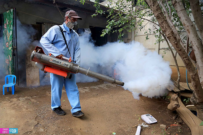 Avanza lucha contra el virus Chikungunya