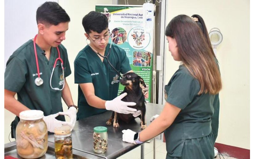 Conoce los avances de la educación universitaria en el departamento de Jinotega