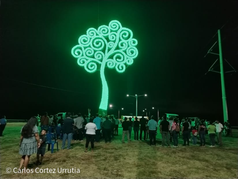 Cover image for Encendida de Árbol de la Vida en la rotonda Chilamatillo ilumina paz, tranquilidad y esperanza
