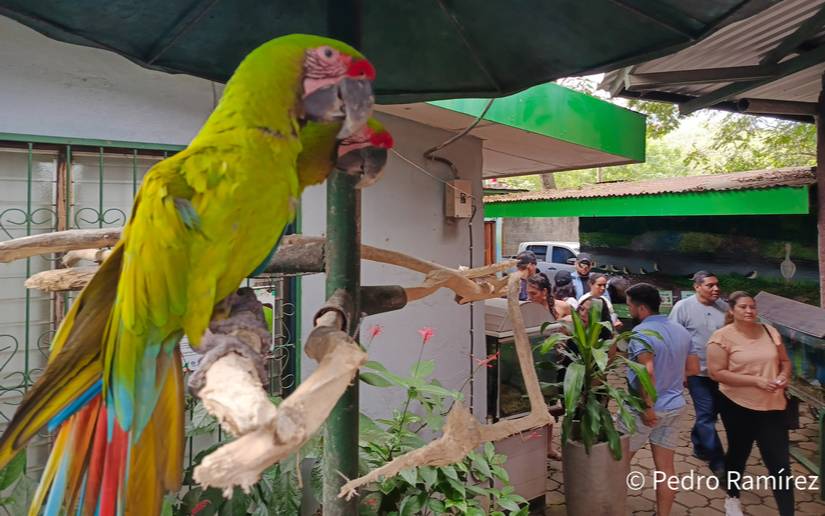 Parque Zoológico Nacional, un centro para el aprendizaje y conocimiento de la naturaleza y el reino animal