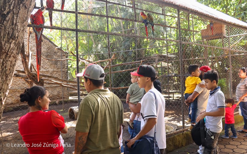 Nicaragüenses disfrutan de la biodiversidad que alberga el Zoológico Nacional