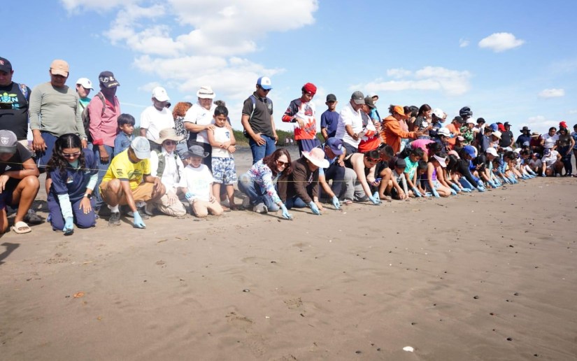 Festival Ambiental por las tortugas marinas en Villa El Carmen
