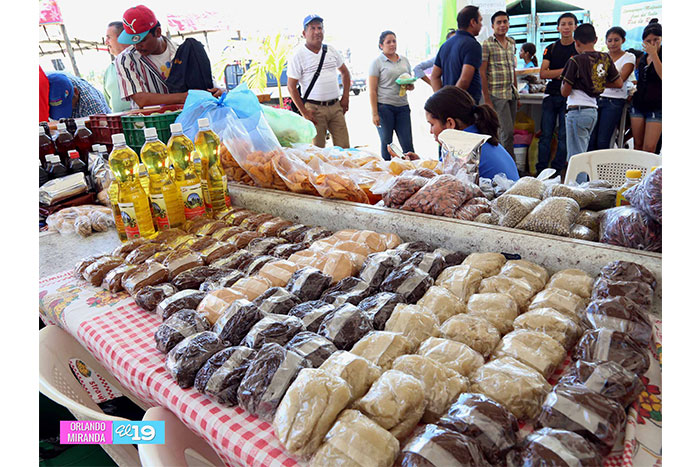 Leoneses festejan Día de la Alegría en Avenida de Bolívar a Chávez