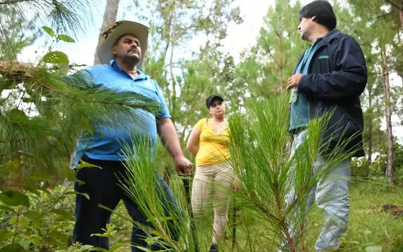 Marena Consolidates Environmental Policies with the Prominence of Families and Communities