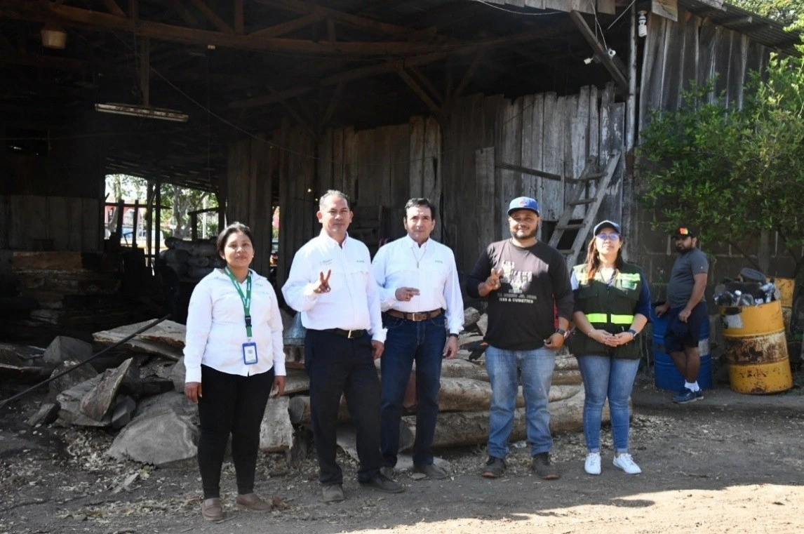 Environmental Actions in Granada