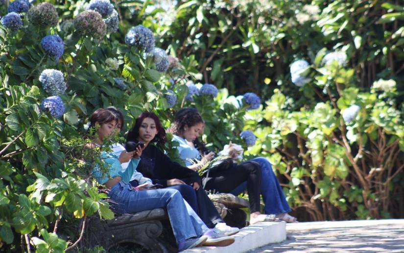 Parque Las Milflores and Plaza Mirador Sandino Fresh and Pleasant for Families to Enjoy
