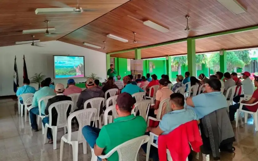MARENA with Environmental Observers