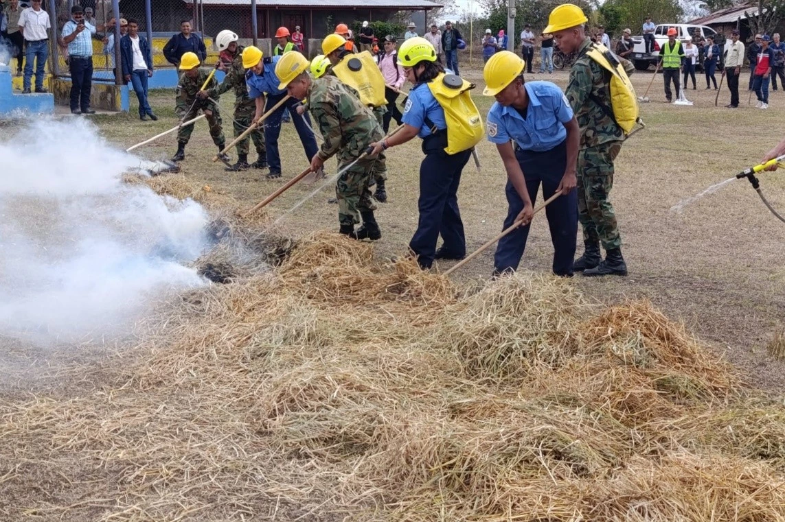 Preventing Forest Fires