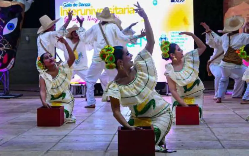 Photo Gallery: Dances of Our Peoples