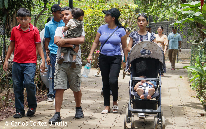 Visit the National Zoo and Learn About Nicaragua's Vast Wildlife