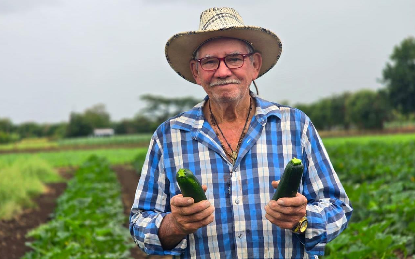 Cucumber Harvest as of April 2026