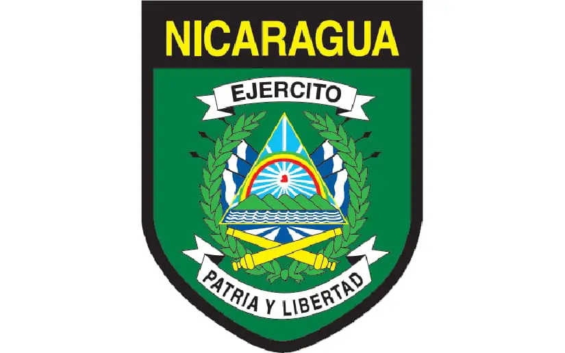 Patriotic march and infantry weapons live fire exercise