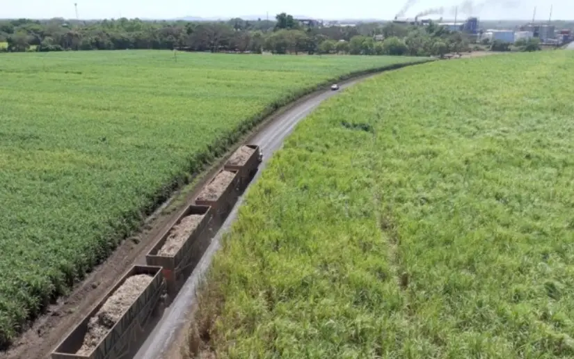 Sugar production advances