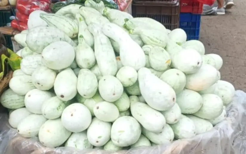 Cover image for Pipián Production Exceeds 164,000 Units in April 2026