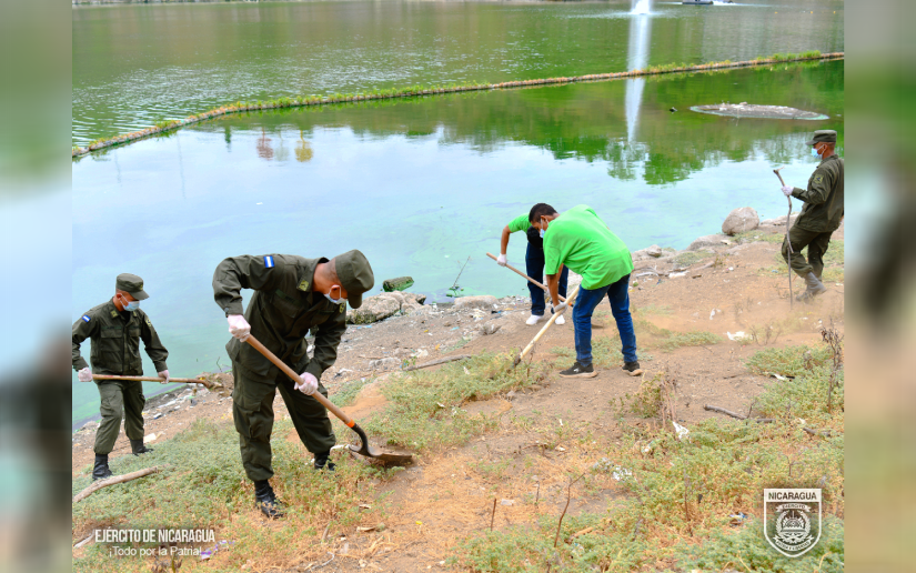 Cover image for Participación en jornada ecológica