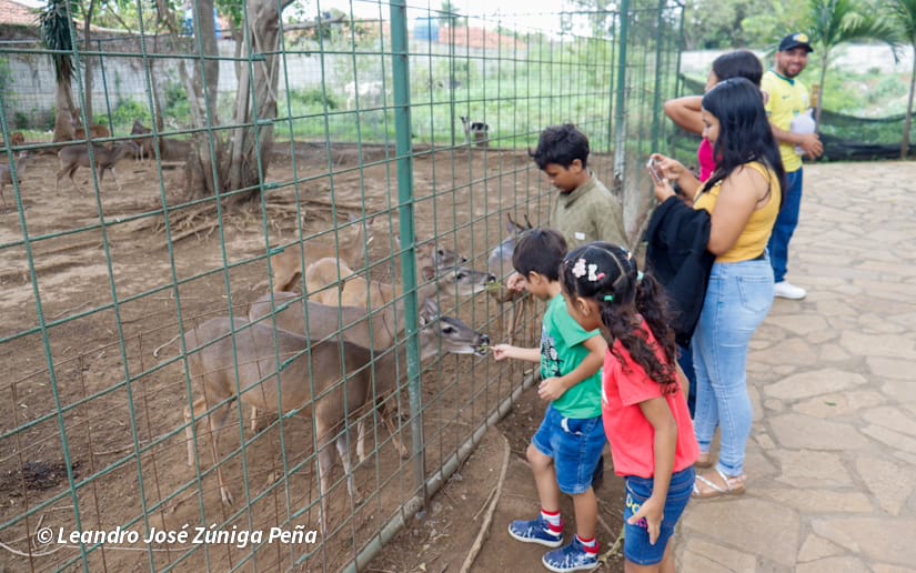 Parque Zoológico Nacional: una opción ideal para aprender y conocer del reino animal
