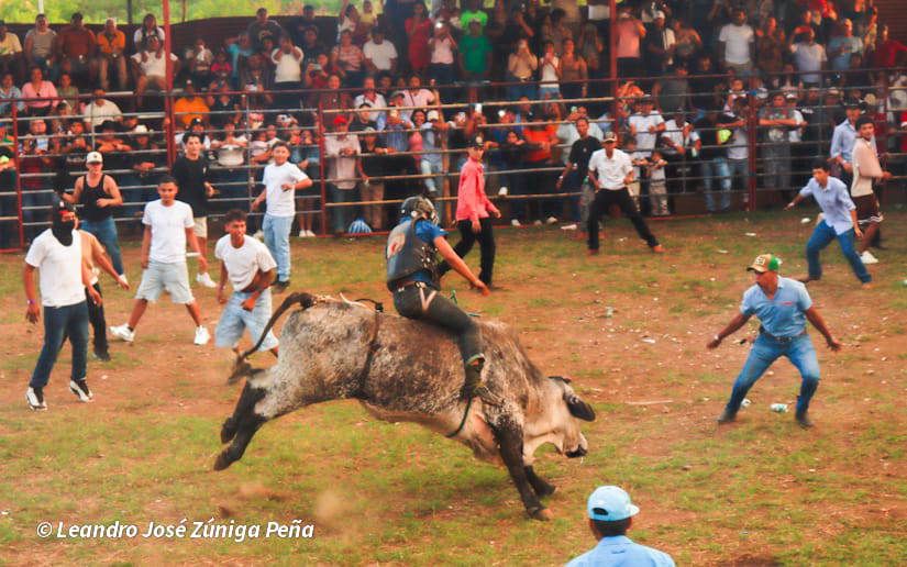 Inician las tardes taurinas en Managua en víspera de las fiestas agostinas