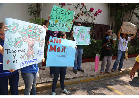 Jóvenes respaldan acciones del Gobierno Sandinista para defender Bosawás