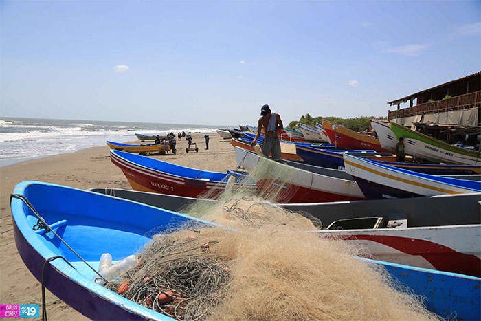 Pesca y Acuicultura de Nicaragua marcan cifras récord en términos de producción y exportación
