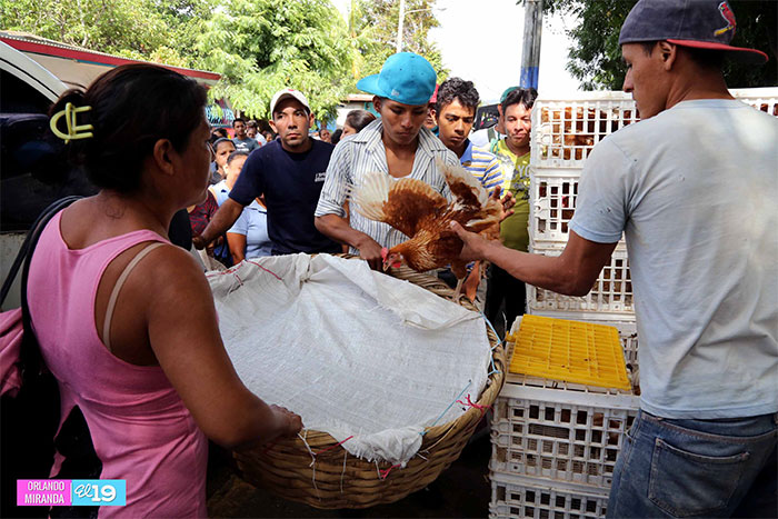 Entregan bono productivo alimentario a 54 familias de Ticuantepe