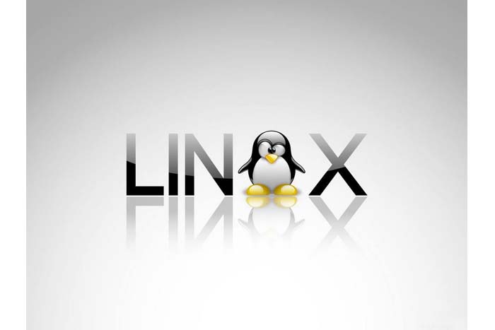 Advierten sobre un fallo de seguridad en Linux y Mac OS X