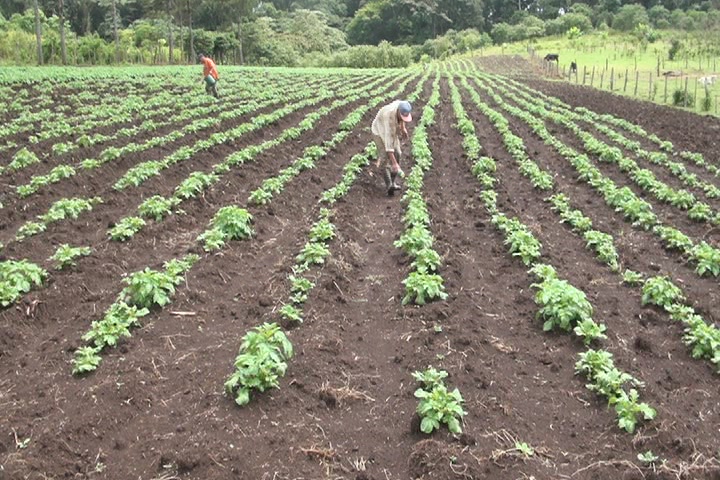 La contaminación por el uso de los agroquímicos en Miraflor-Moropotente