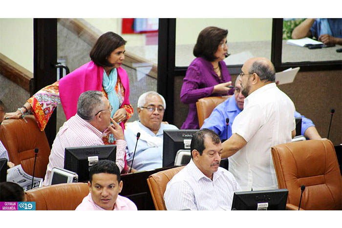 Aprueban en lo general reforma a ley orgánica del parlamento