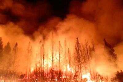 Más de 100 hectáreas afectadas por incendios forestales