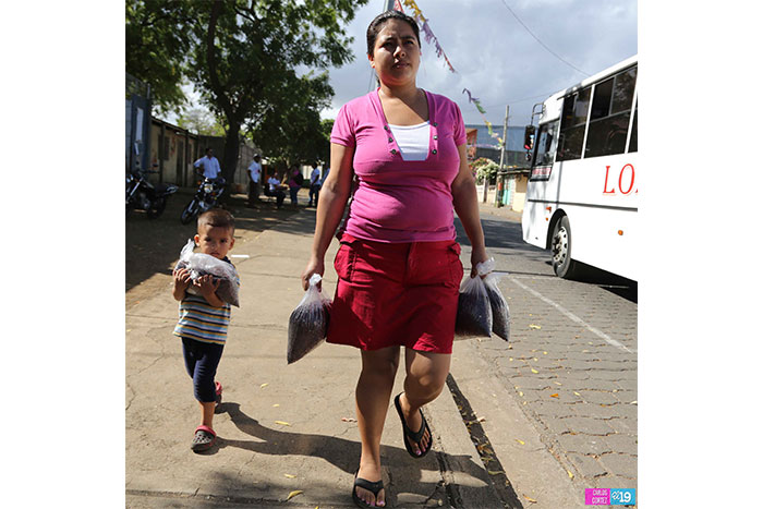 Frijoles solidarios llegan a familias del Distrito IV