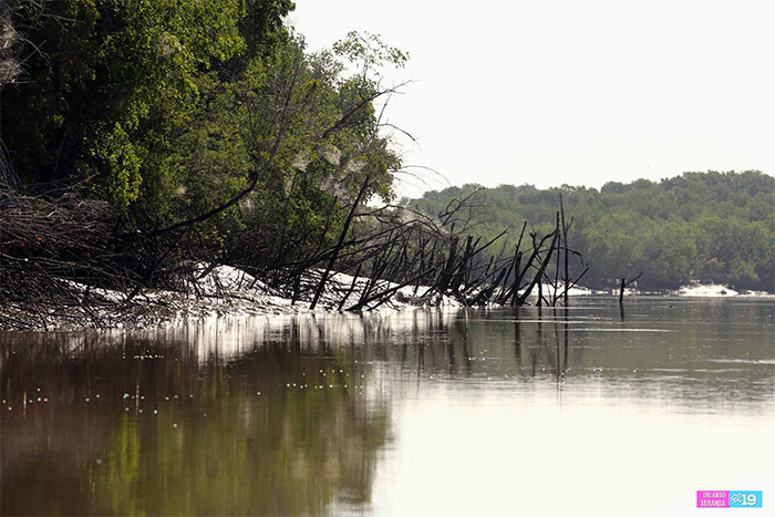 Gobierno y Comunidad trabajan en conservación de Reserva Natural Estero Real