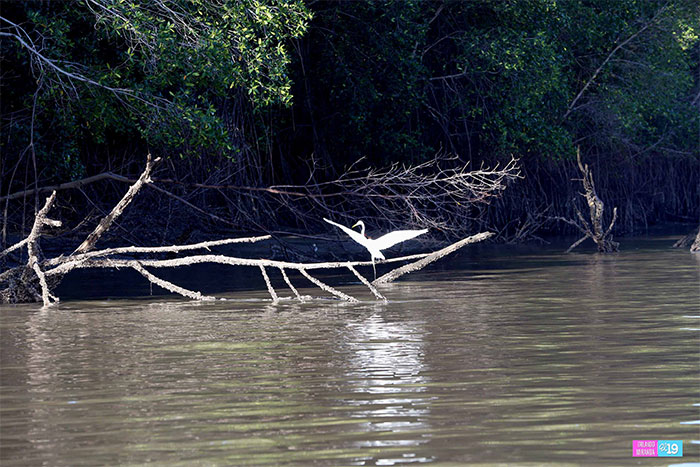 Gobierno y Comunidad trabajan en conservación de Reserva Natural Estero Real
