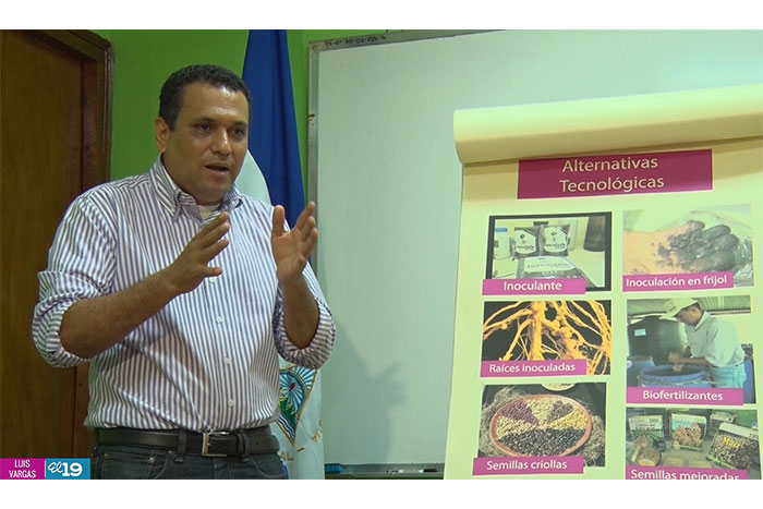 INTA promueve buenas prácticas agropecuarias para preservar fertilidad en cultivos de laderas